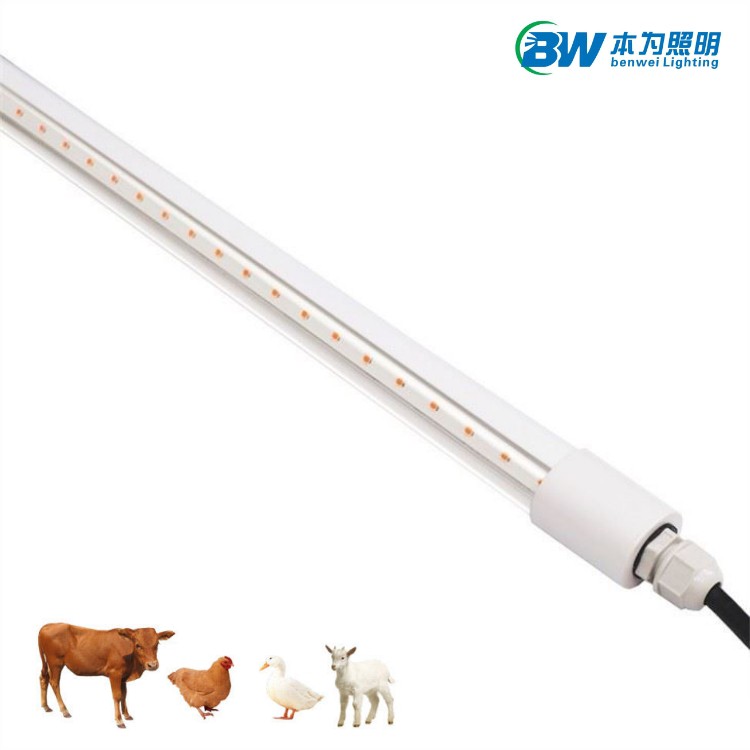 chicken coop timer light