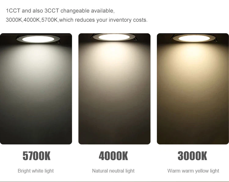 5w downlight led 5w downlight led