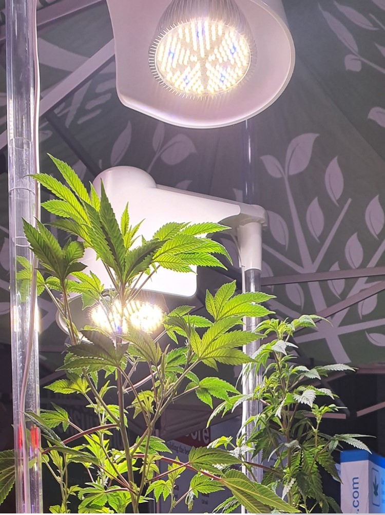 led light full spectrum led light full spectrum