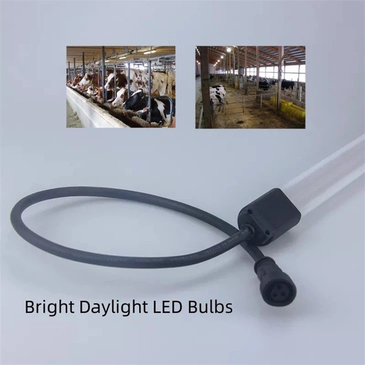 bright daylight led bulbs