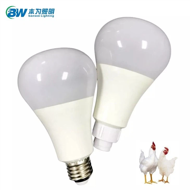 led light for swine