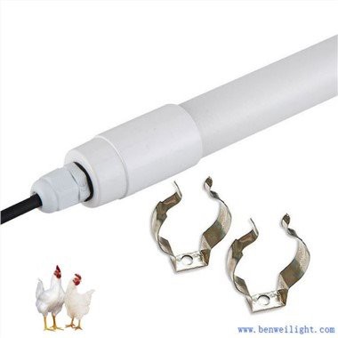 Lampadario per pollaio