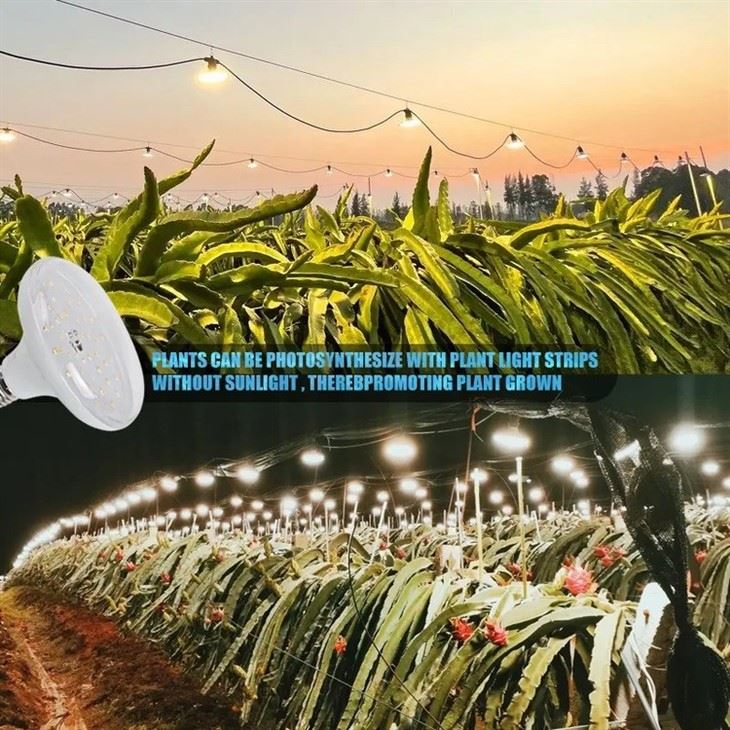 18w plant light for growing 3