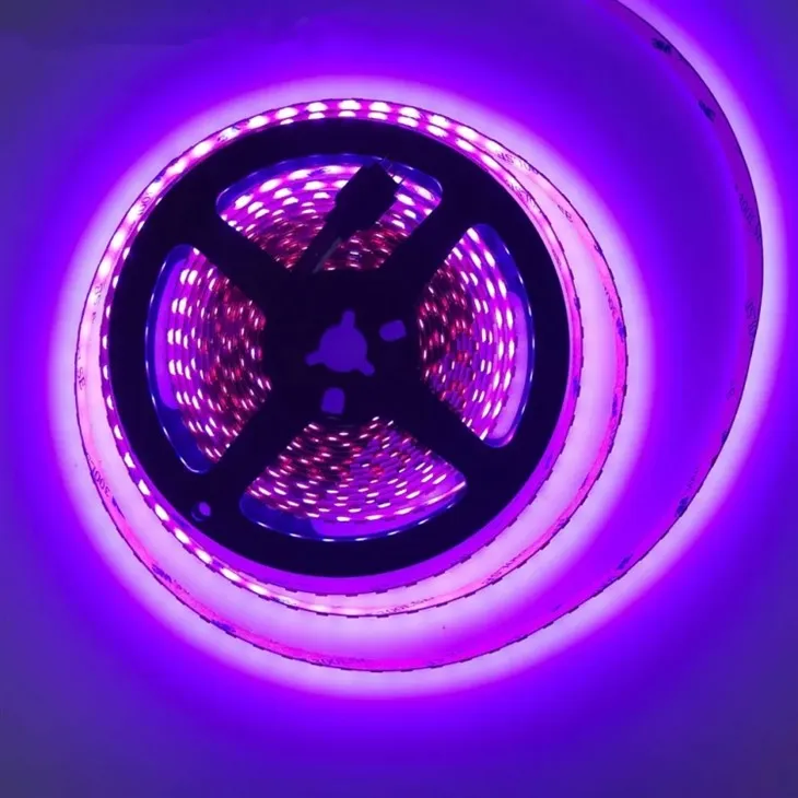 Best Outdoor Waterproof Led Strip Lights