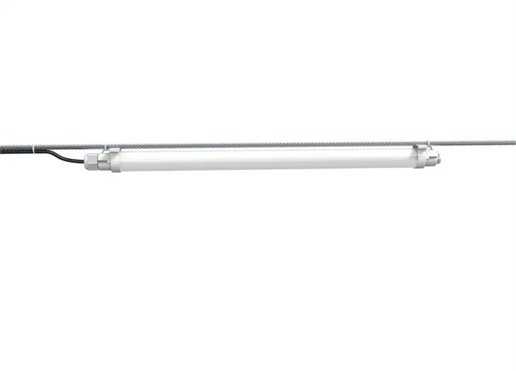 Luce di pollo con timer