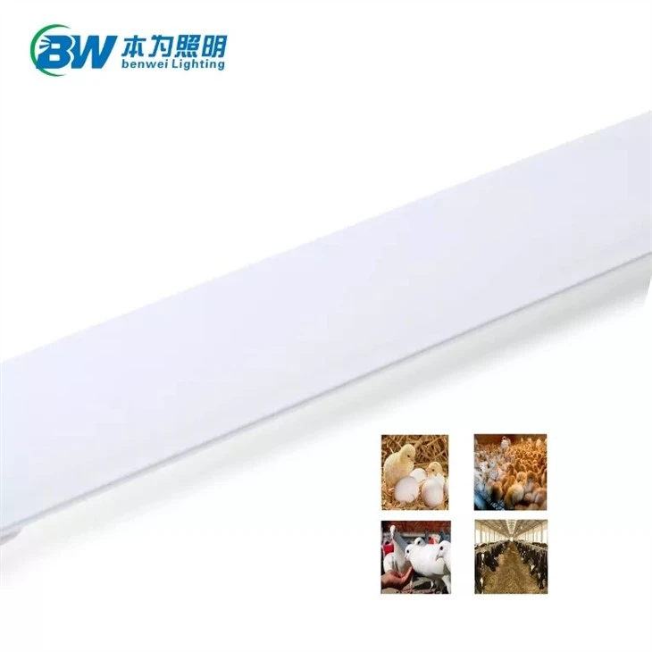 12 volt dc led tube light