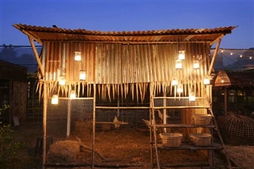 Illuminazione nella produzione di pollame