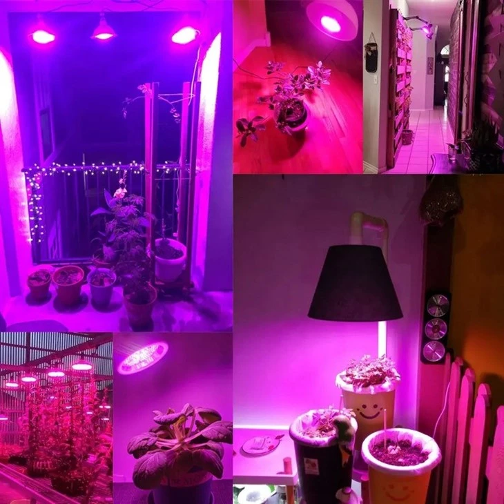 Par38 15W Waterproof LED Grow Light Bulb 3