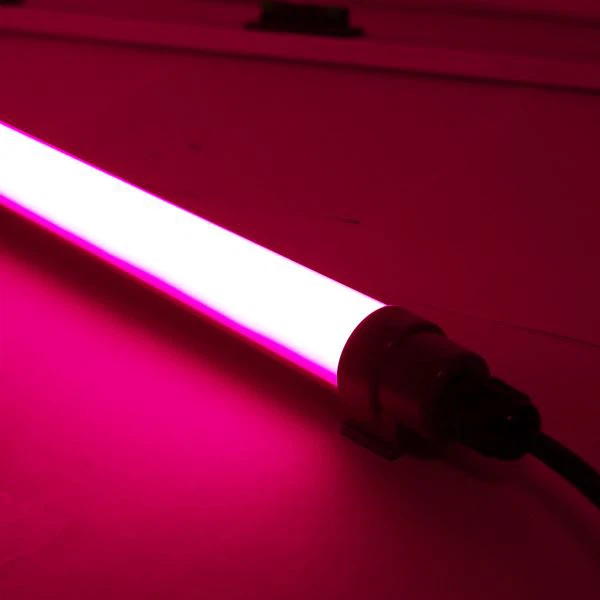 Luce Led Rossa Per Il Pollame
