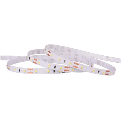 Strisce LED flessibili da 12 V