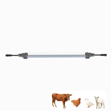 Chicken Light per la posa