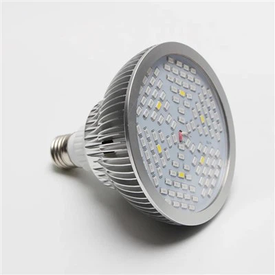 Lampadine a spettro completo diurne