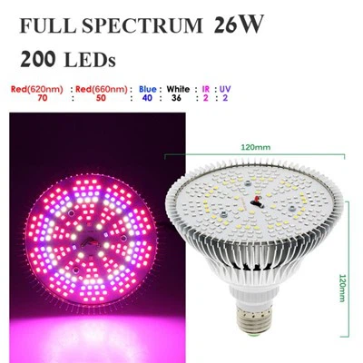 Lampadine a spettro completo