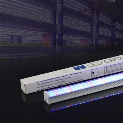 La coltivazione in serra ha portato la luce di crescita delle piante