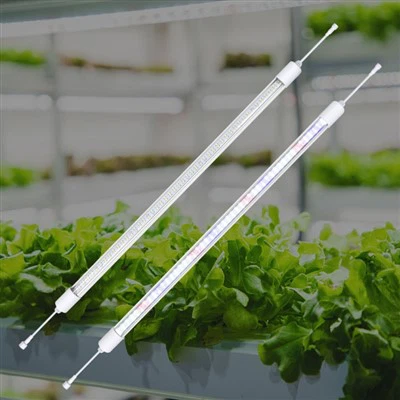 Luci della serra per l'inverno