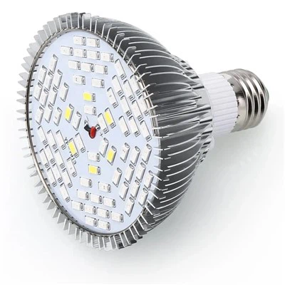Lampadine Led Diurne Per Piante