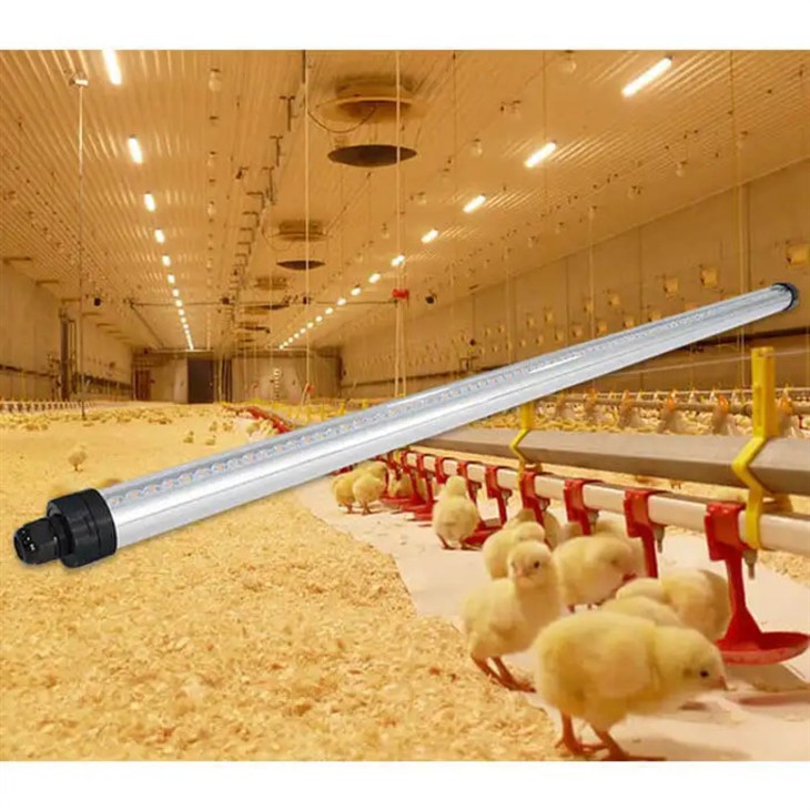 T12 LED POULTRY LIGHT