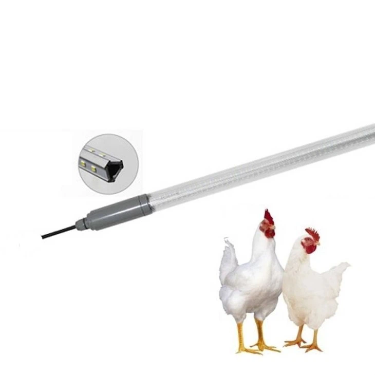 0-12V Dimmable 3100K 12W Chicken Light