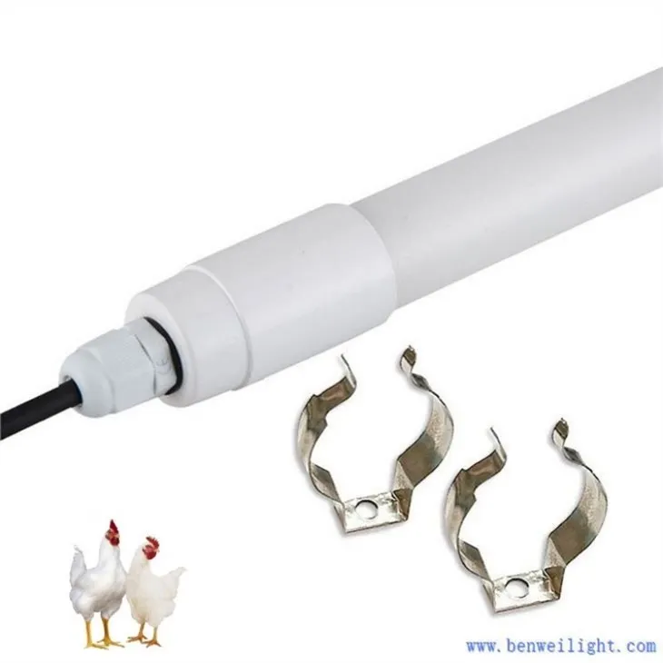 2ft Led Chicken Lighting