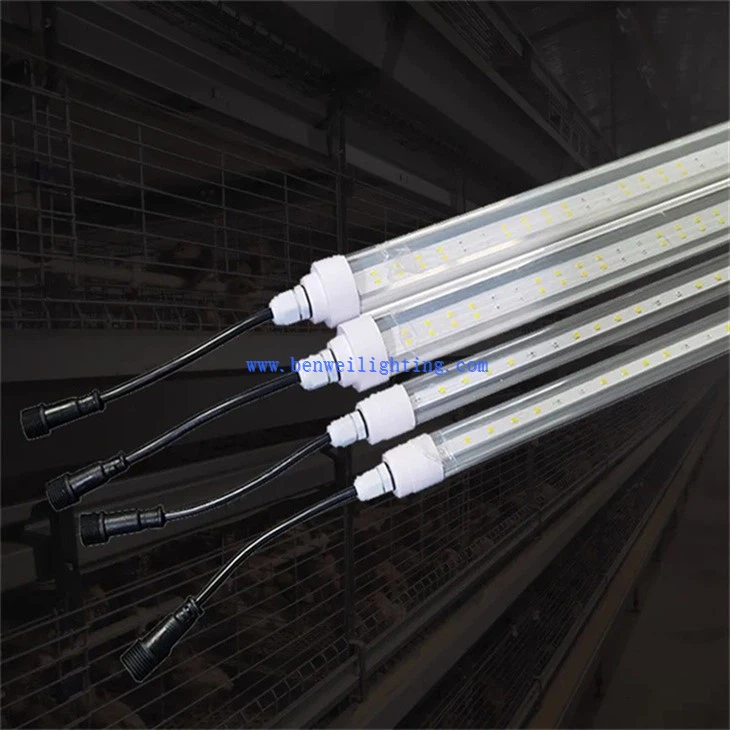 Chicken Farmyard Light (4)