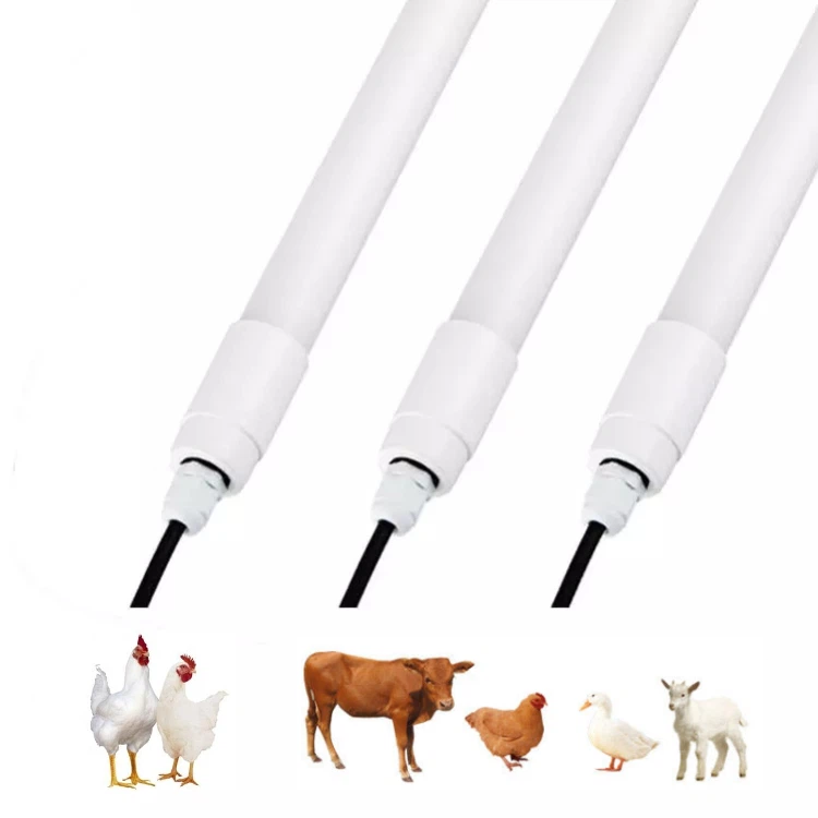 led lights for poultry house led lights for poultry house