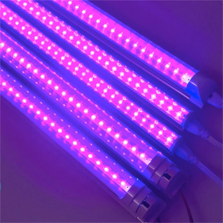 Hospital Disinfection Lamp 3