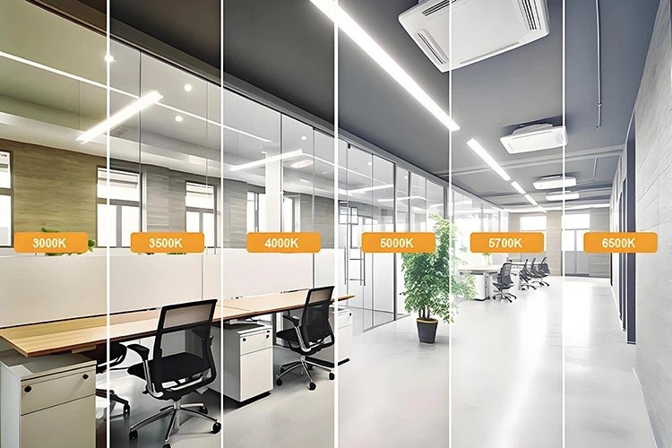 info-750-500 info-750-500