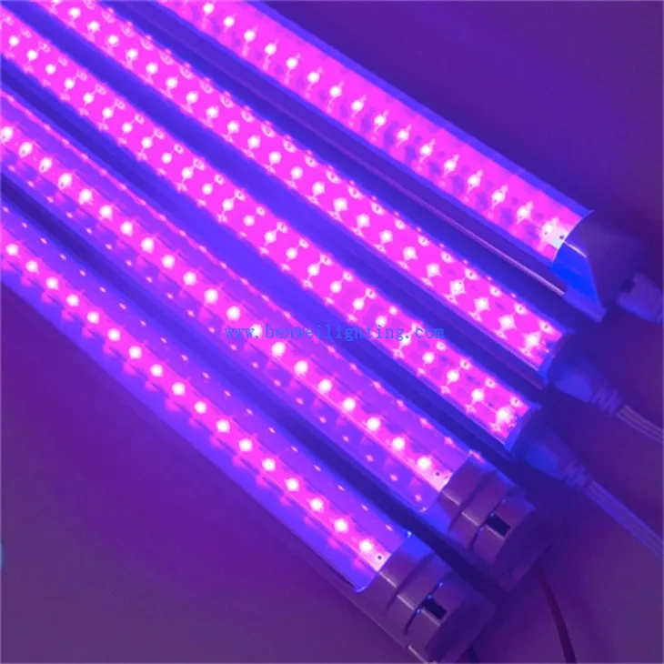Insect trap light  (4)