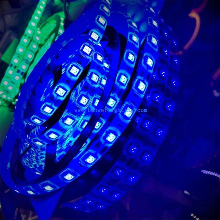 Interior RGB Strip Light (4)