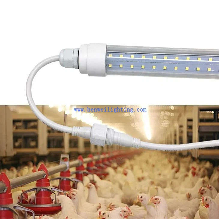 dimmer poultry LED light for chicken farm3