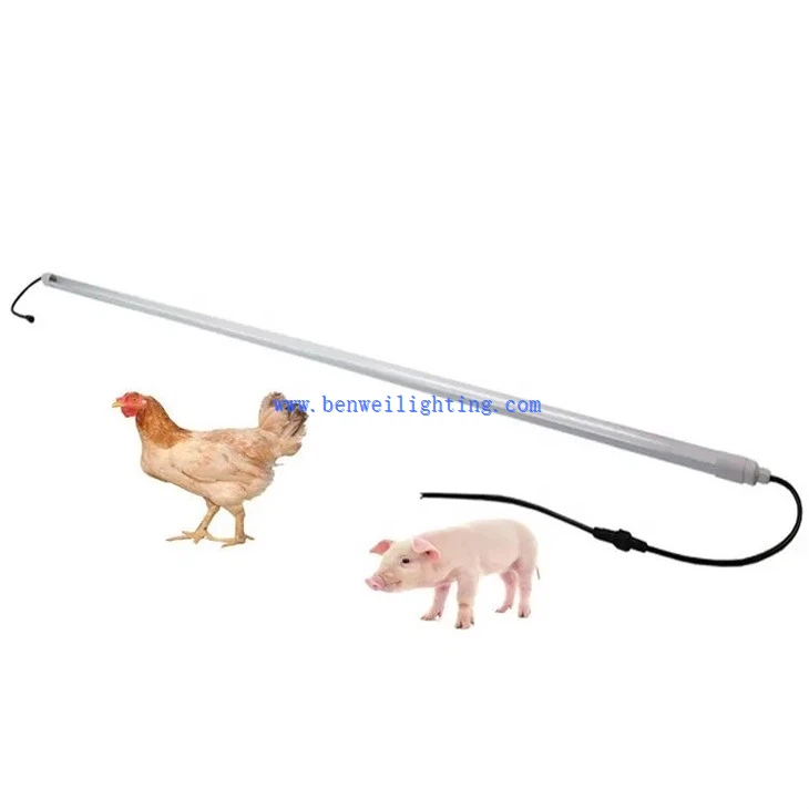 Dimmer Poultry LED Light