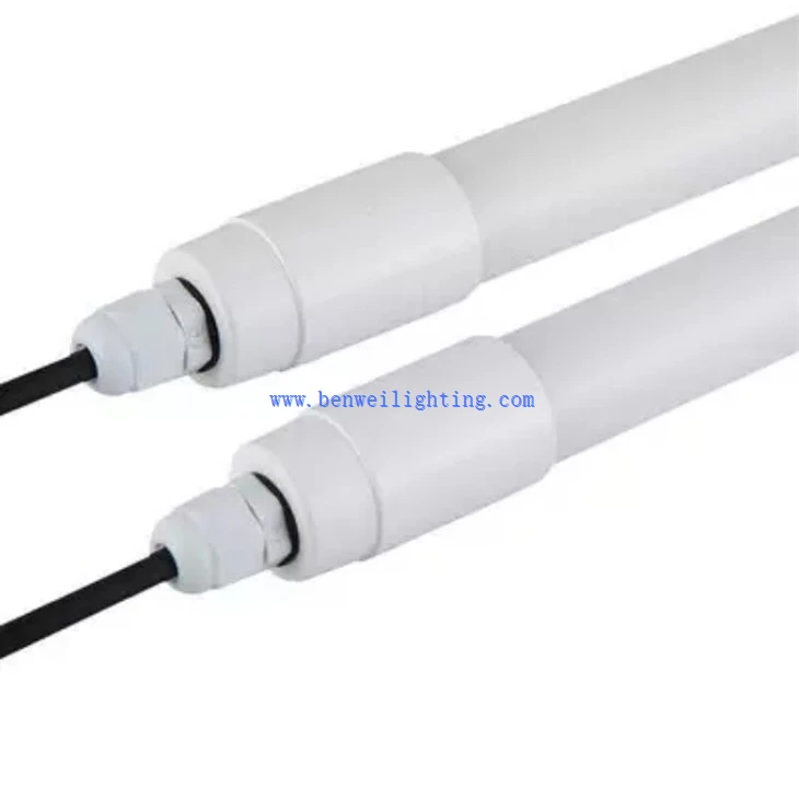 lighting in poultry production