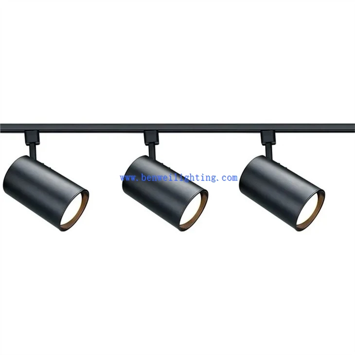 Open-Mounted Track Light (3)