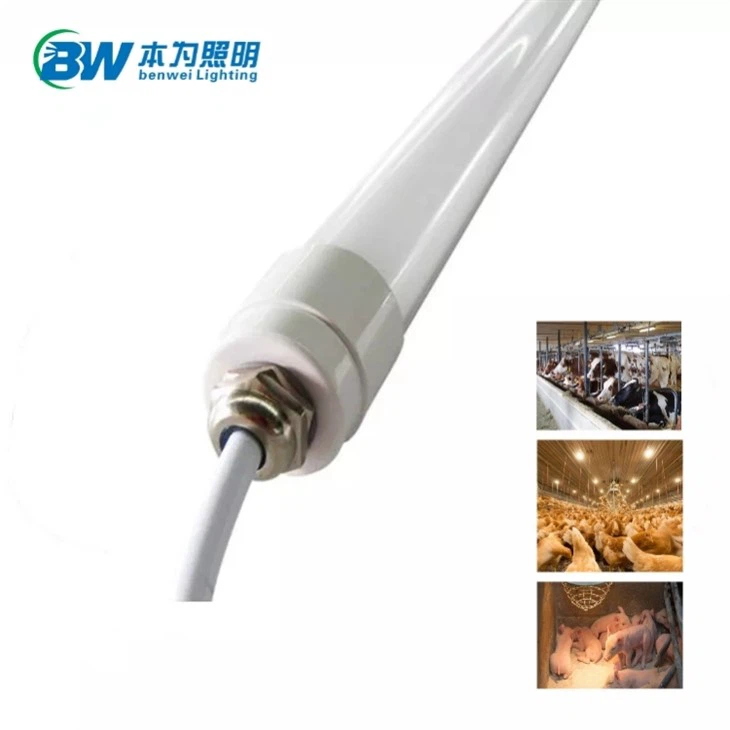 Poultry LED Tube Light Flicker Free Lamp