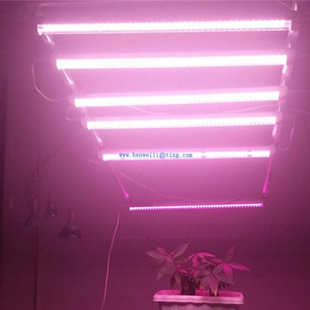 Grow5