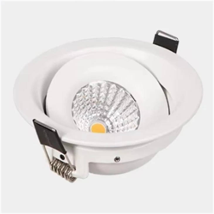 Recessed Adjustable Downlight