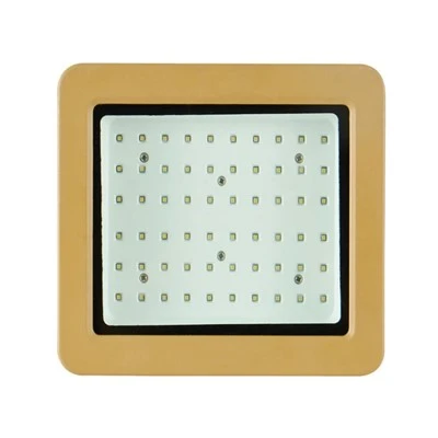 Luci antideflagranti durata 50000