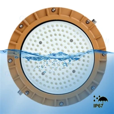 Lampada a LED ad alta protezione antideflagrante IP68