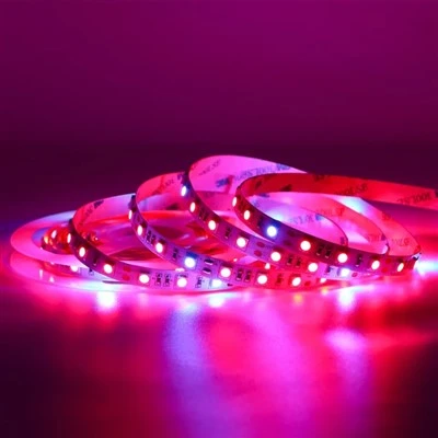 Strisce luminose a LED al neon