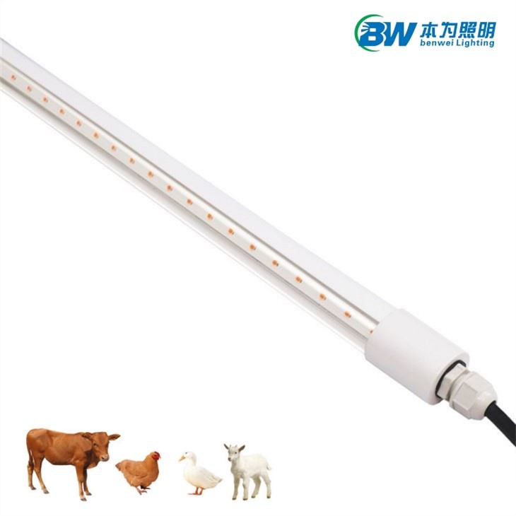 Triac Dimmable Led Poultry Light